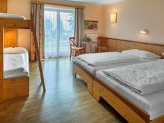 Zimmerbild 12