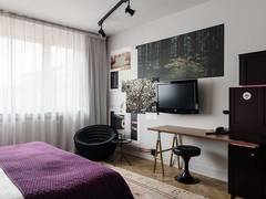 Zimmerbild 11