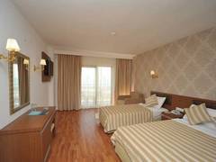 Zimmerbild 28