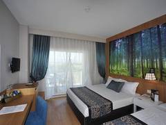 Zimmerbild 10