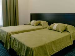 Zimmerbild 12