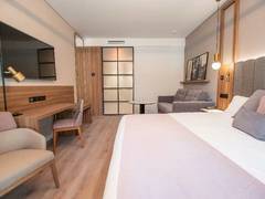Zimmerbild 6