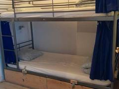 Zimmerbild 11
