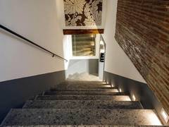 Zimmerbild 23