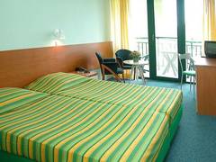 Zimmerbild 11
