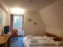 Zimmerbild 42
