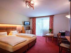 Zimmerbild 11