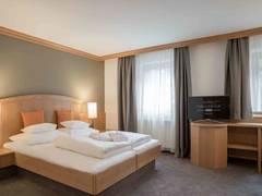 Zimmerbild 9
