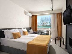 Zimmerbild 11