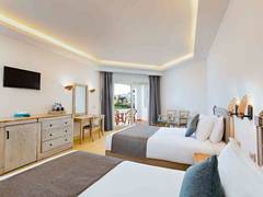 Zimmerbild 6