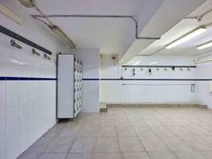 Zimmerbild 10
