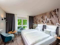 Zimmerbild 8