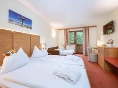 Zimmerbild 5