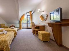 Zimmerbild 10