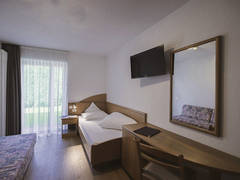 Zimmerbild 12