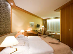 Zimmerbild 8