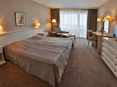 Zimmerbild 11