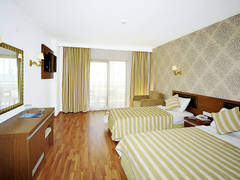 Zimmerbild 8