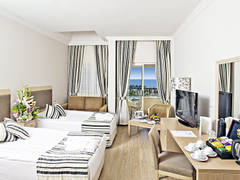 Zimmerbild 9