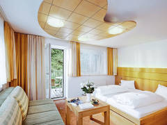 Zimmerbild 12