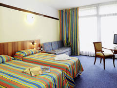 Zimmerbild 8
