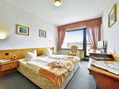 Zimmerbild 2