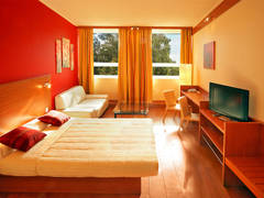 Zimmerbild 2