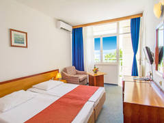 Zimmerbild 8