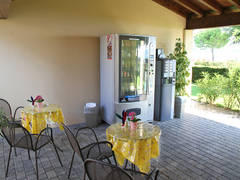 Zimmerbild 8