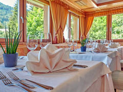 Zimmerbild 19
