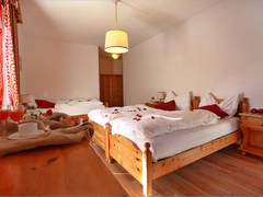 Zimmerbild 1
