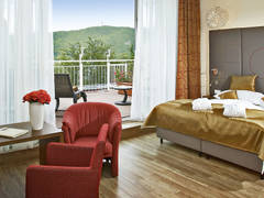 Zimmerbild 11