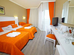 Zimmerbild 10