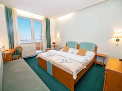 Zimmerbild 3