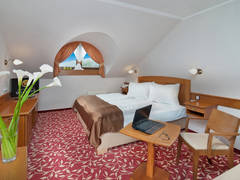 Zimmerbild 14