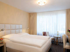 Zimmerbild 11