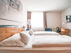 Zimmerbild 11