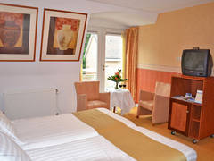 Zimmerbild 12