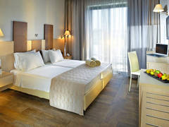 Zimmerbild 43