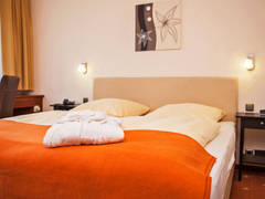 Zimmerbild 23