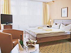 Zimmerbild 8
