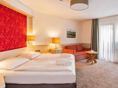 Zimmerbild 10