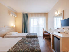 Zimmerbild 22