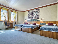 Zimmerbild 5