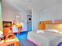 Zimmerbild 40