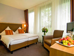 Zimmerbild 44