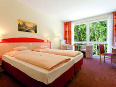 Zimmerbild 11