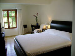 Zimmerbild 1