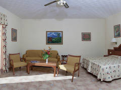 Zimmerbild 46