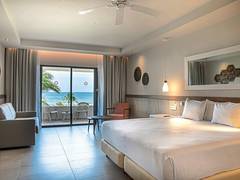Zimmerbild 11